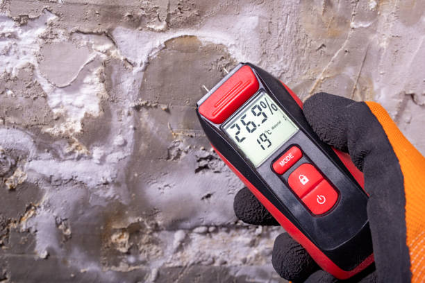 Best Mold Remediation  in Lake Andes, SD