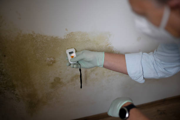 Best Emergency Mold Removal  in Lake Andes, SD